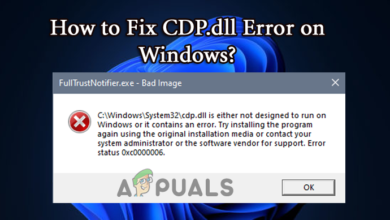 CDP.dll Error on Windows