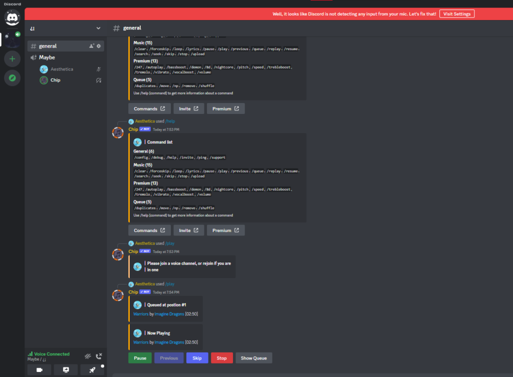 8 Best Discord Music Bots That Work in 2022 - Paper Writer