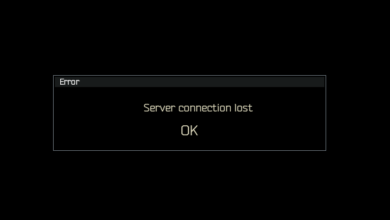 Showing you how to fix the Tarkov server connection lost error