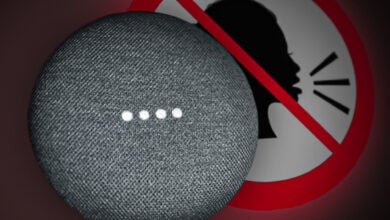 Could Not Communicate with Your Google Home Mini