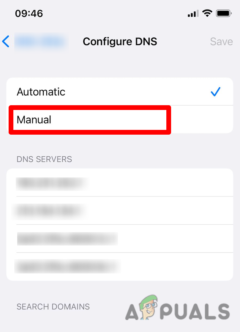 Set the DNS to manual