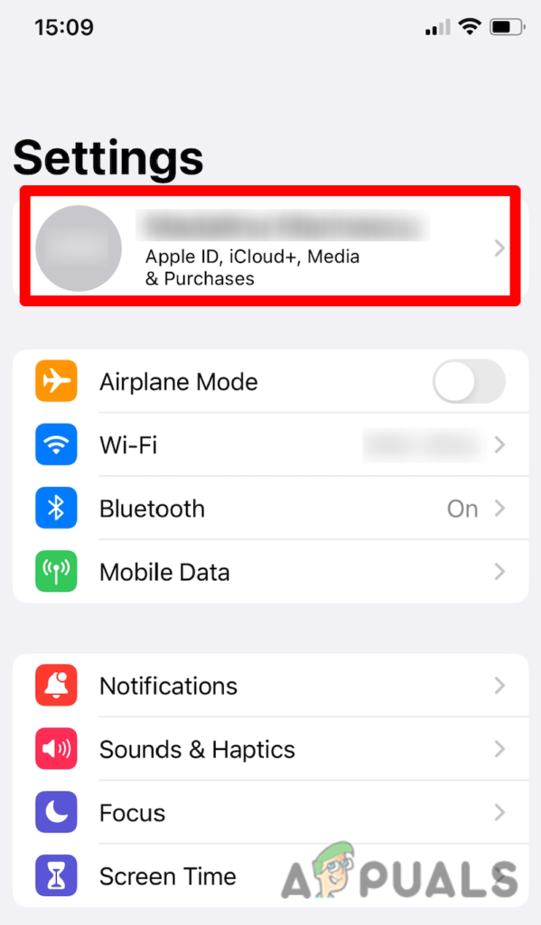 Tap your Apple ID icon situated at the top of the screen