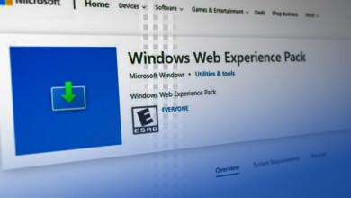 What is Windows Web Experience Pack?
