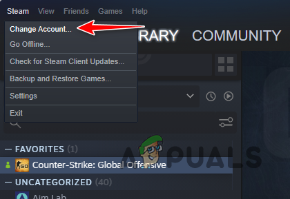 Changing Steam Account
