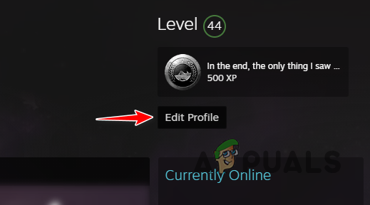 Editing Steam Profile