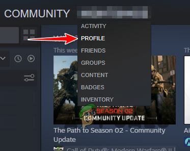 Navigating to Steam Profile