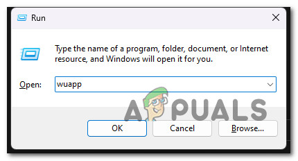 Open up the Windows update menu via Run box