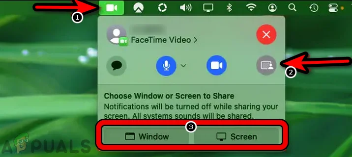 Share Screen in a FaceTime Call on a Mac