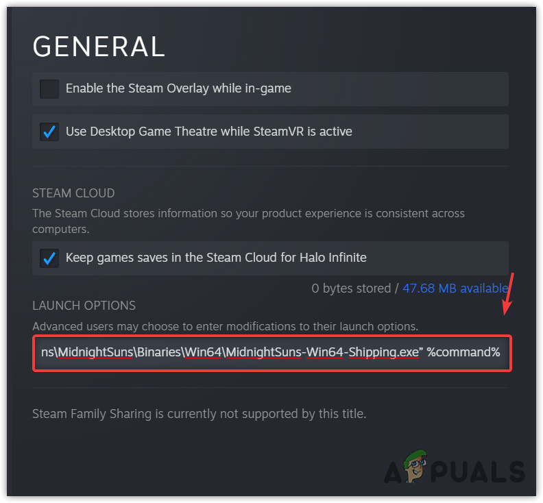 Adding Command to the Steam Launch Option