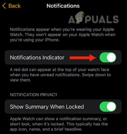 Turn on the toggle for Notification Indicator