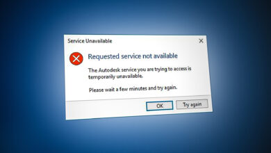 Autodesk Issue Requested Service Not Available