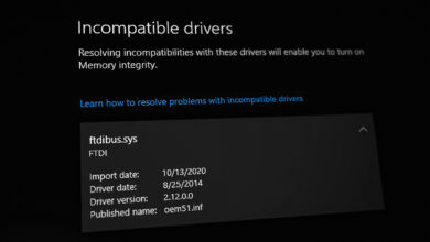 Incompatible Drivers (ftdibus.sys)