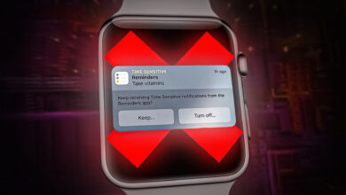 Time Sensitive notification not appearing on Apple Watch