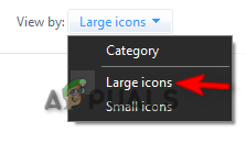 Viewing Large Icons
