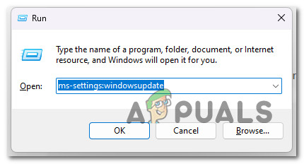 Access the Windows Update screen