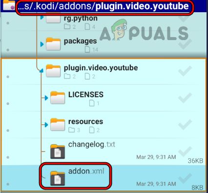 Open Addon XML File of YouTube Addon 