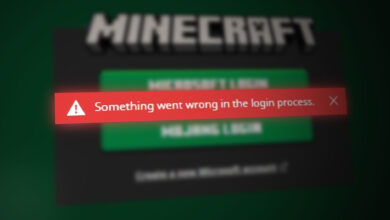 Something Went Wrong in the Login Process error in Minecraft
