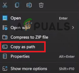 Copying the file path