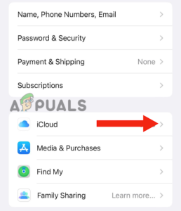 Tapping on the iCloud option