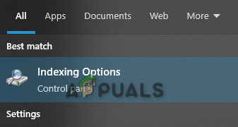 Indexing Options
