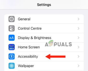 Accessibility options
