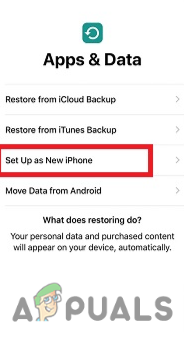 Selecting Set Up as New iPhone option
