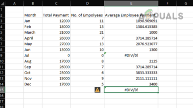 #Div/0! Error in Excel