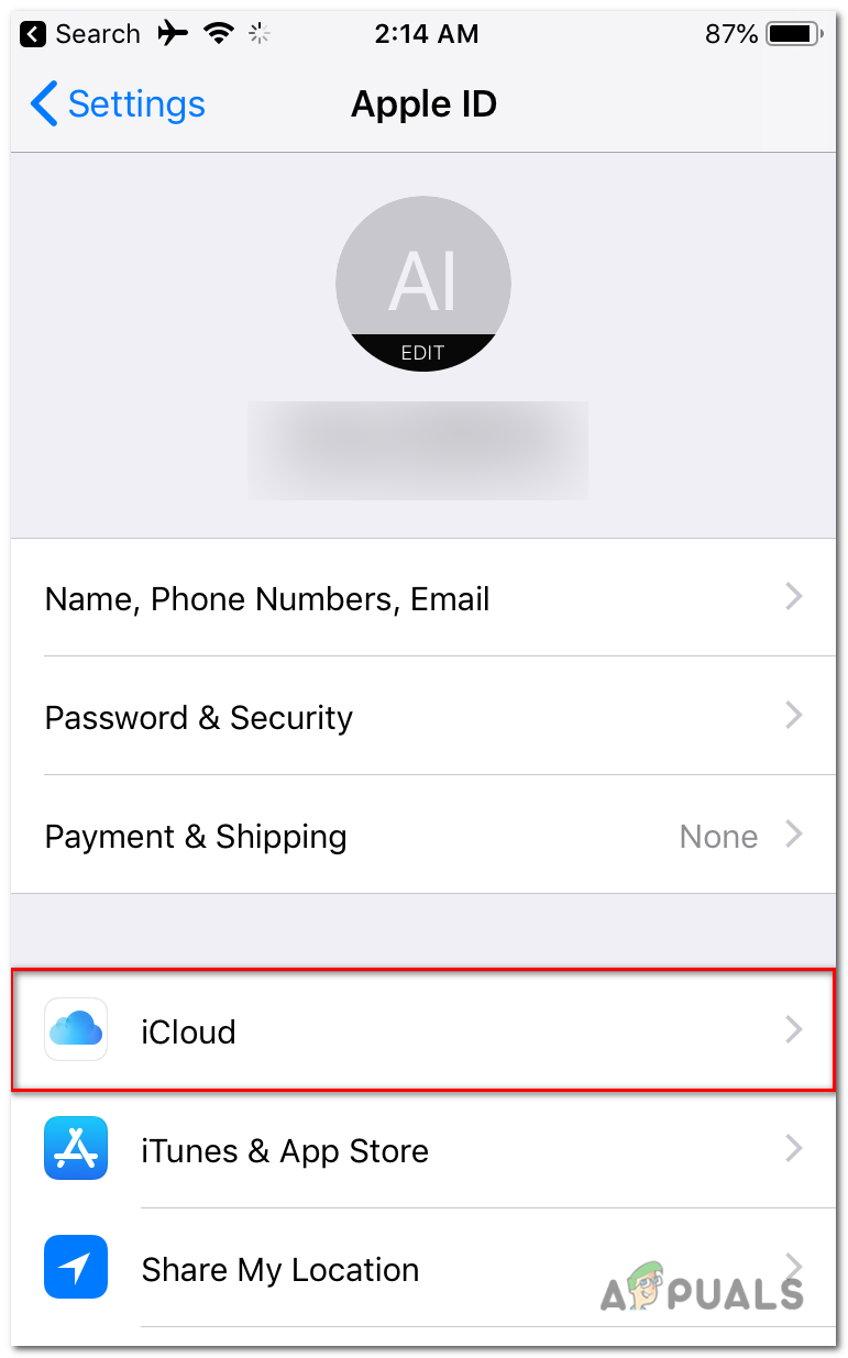 In the Apple ID menu, select iCloud.
