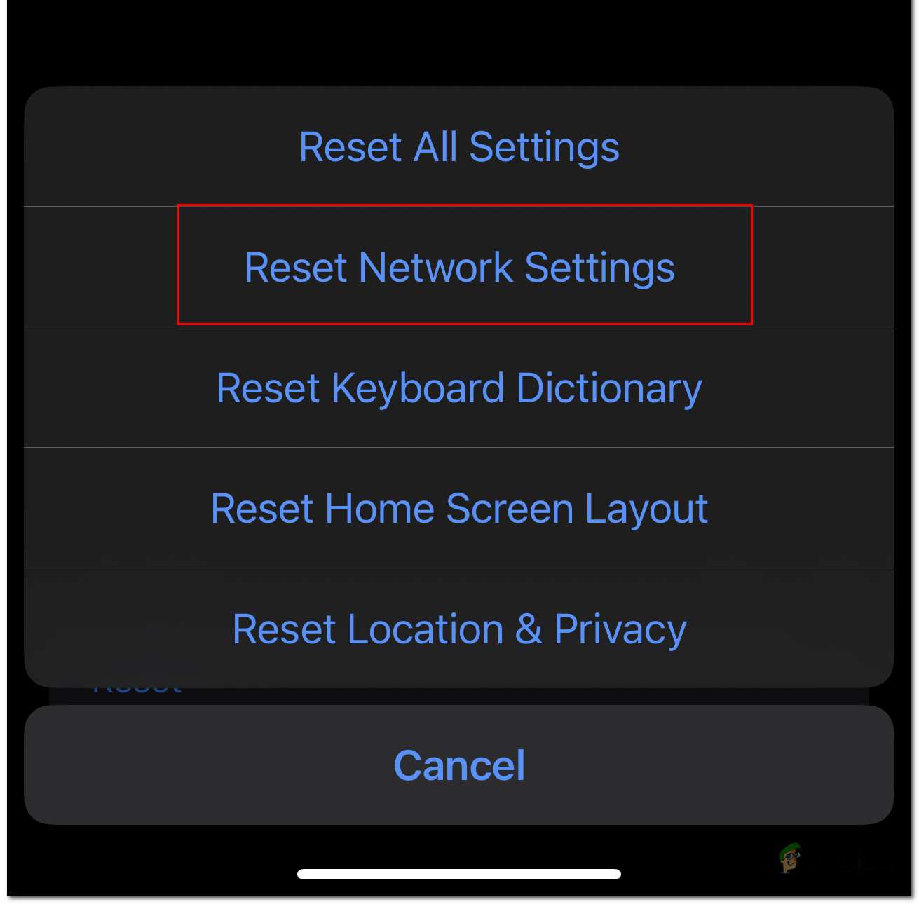 Click on "Reset Network Settings".
