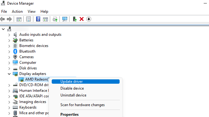 Update the Display Driver Through the Device Manager