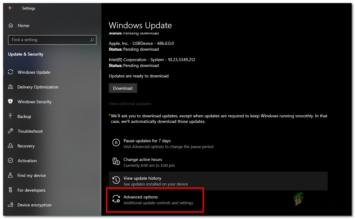 Under the "Windows Update" section, click on the "Advanced options" link.
