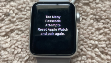 Too Many Passcode Attempts Reset Apple Watch and Pair Again