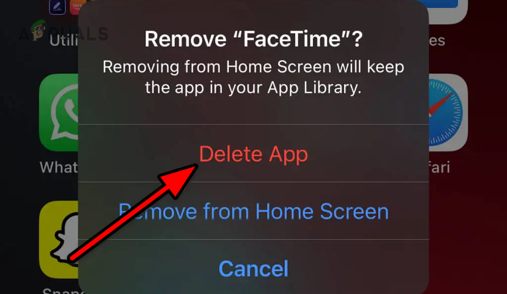 Delete the FaceTime App from the iPhone