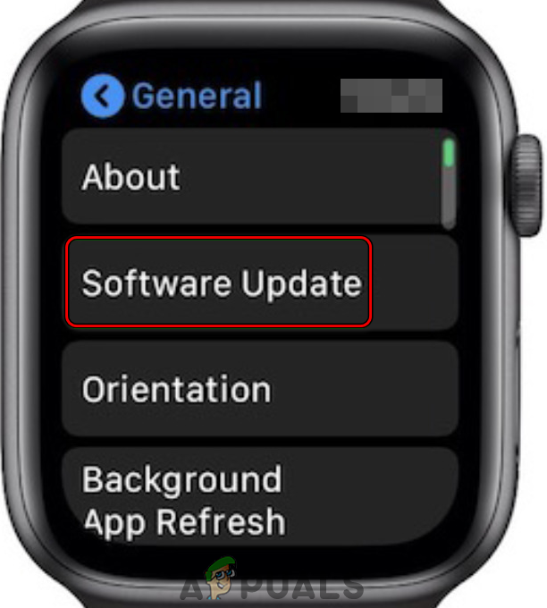 Tap on Software Update in General Settings of the Apple Watch