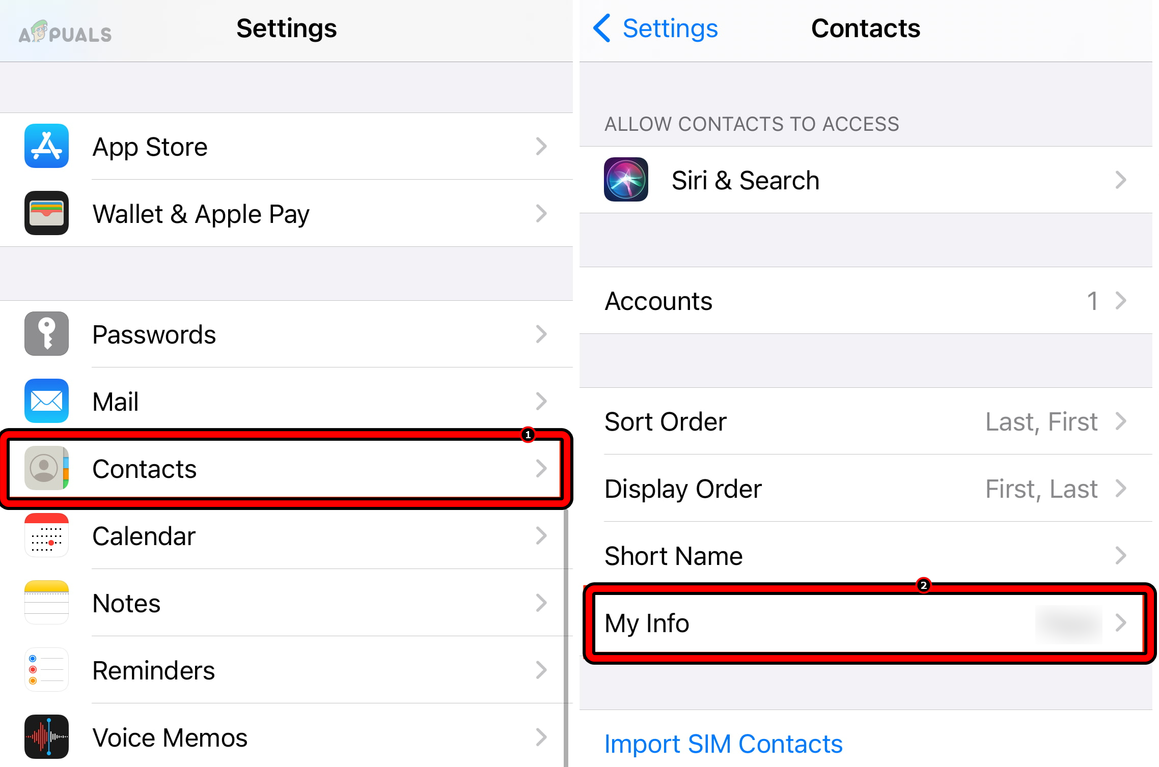 Open My Info in the iPhone Contacts