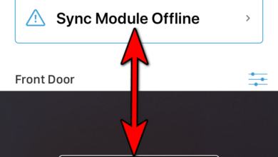 Blink Sync Module Offline