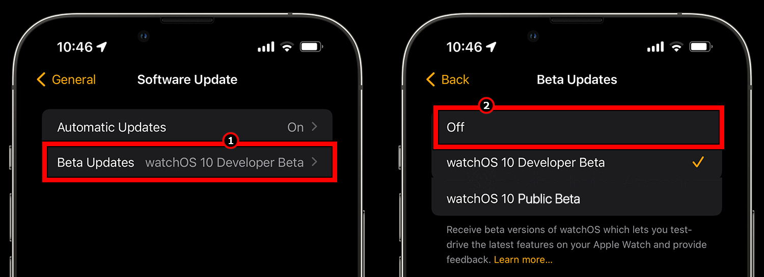 Disable Beta Updates on the Apple Watch