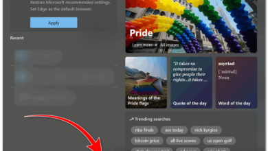 The easiest way to remove the Pride Flag from your Windows Search Bar.