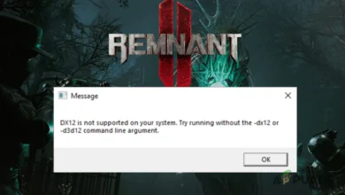 DirectX12 is not Supported Error Message in Remnant 2