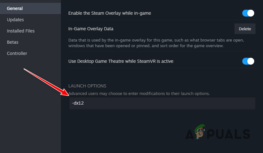 Forcing DirectX12 via Launch Options