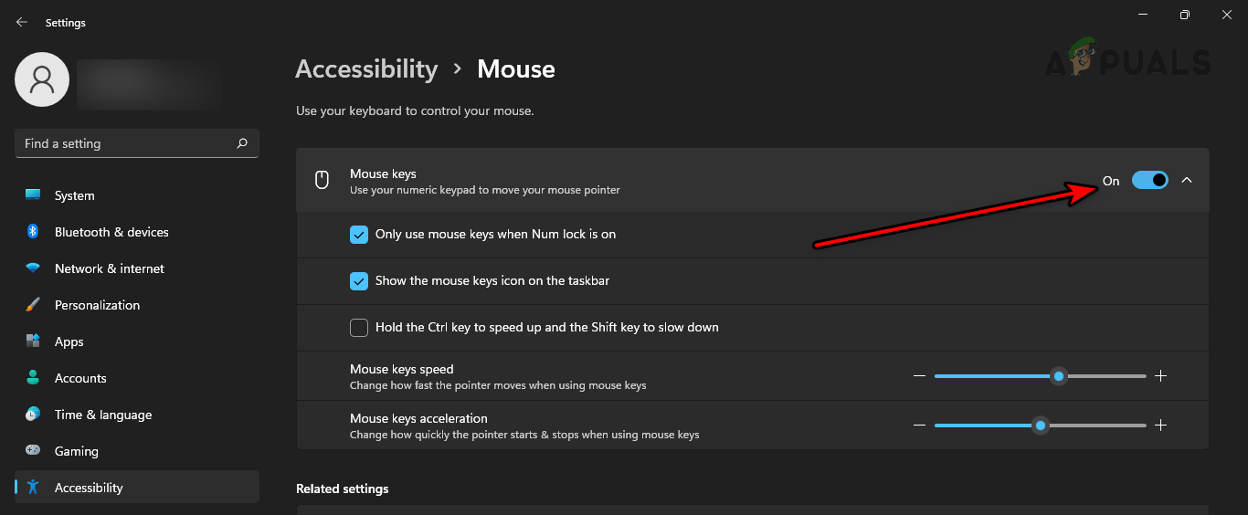 Enable Mouse Keys in the Windows Settings