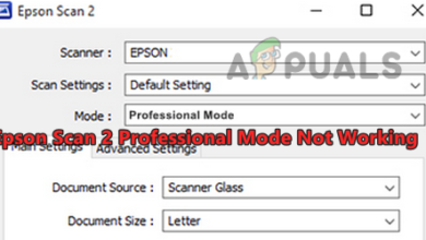 Epson Scan 2 Professional Mode Not Working