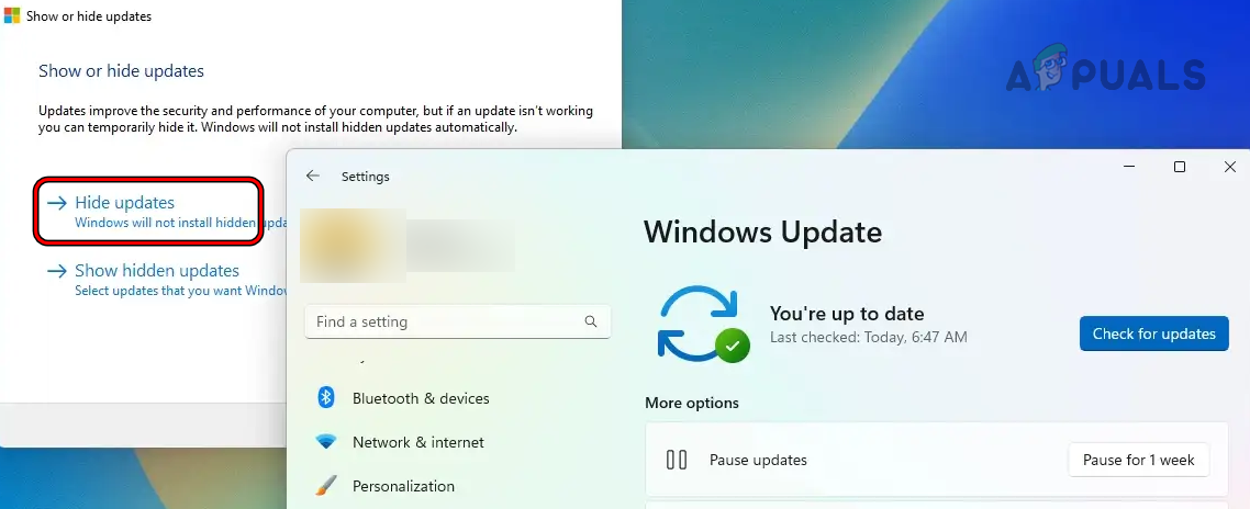 Hide Windows Updates