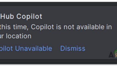Showing you how to fix the Copilot is Not Available issue