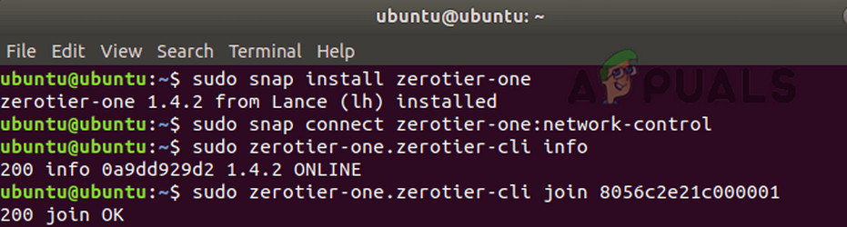 Install the ZeroTier One on Ubuntu by Using Snap