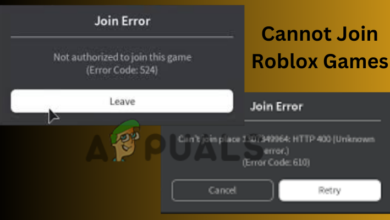 Cannot Join Roblox Games