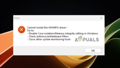 Fix HWiNFO64.SYS Driver Not Working After Windows 11 Update