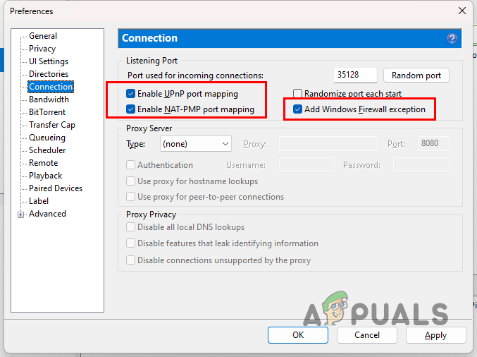 Port Forwarding and Firewall Exception