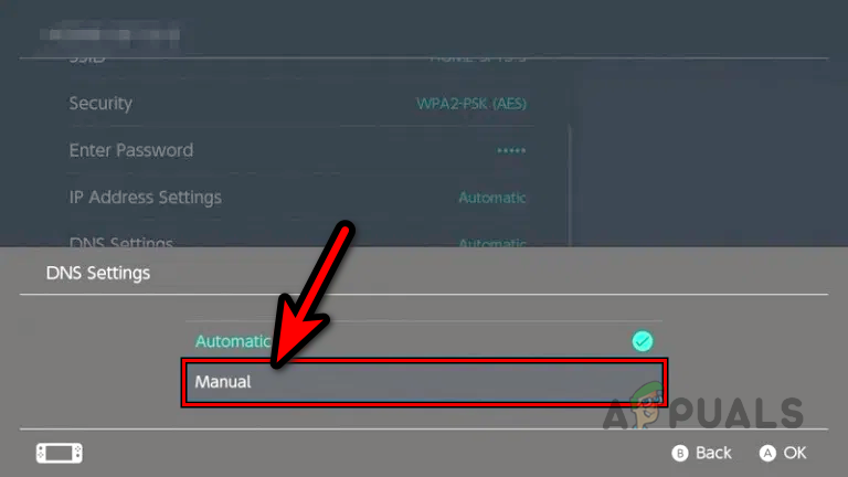 Select Manual in the DNS Settings of the Nintendo Switch