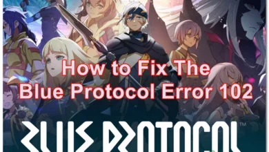 Showing you how to fix the Blue Protocol Error 102